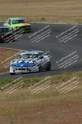 media/May-04-2024-Lucky Dog Racing (Sat) [[d39539b3f3]]/Race Pics/1015am (Turn 2)/